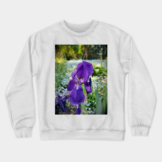 lily Crewneck Sweatshirt by Gourmetkater